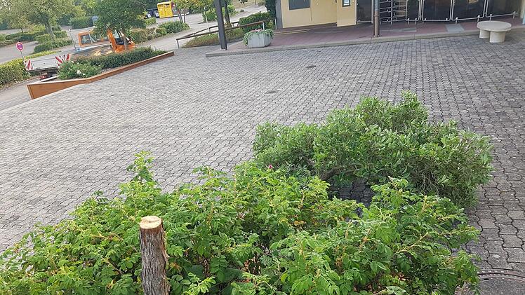 Eine Serie von Sachbeschädigungen hielt Zapfendorf und die Polizei 2018 in Atem- und wurde aufgeklärt.Archivbild: Gemeinde Zapfendorf