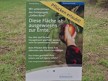 Stadt Bayreuth wegen reicher Obsternte mit Ermunterung: "Äpfel pflücken erlaubt"