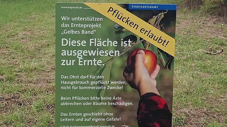 Stadt Bayreuth wegen reicher Obsternte mit Ermunterung: "Äpfel pflücken erlaubt"