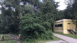 Nur durch Zufall entdeckte ein Mitarbeiter der DLRG Kronach die vermisste Frau am Samstag mitten im Gebüsch. Foto: Polizeiinspektion Kronach