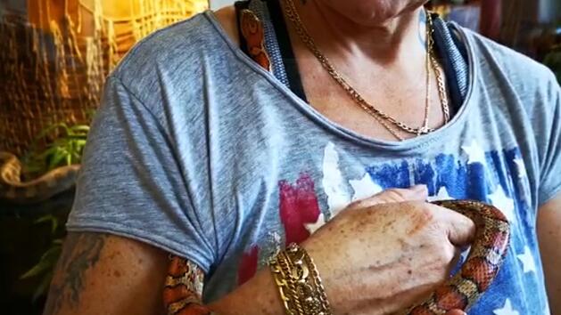 Die Kornnatter ist nach ihrer Rettung dehydriert und geschw&auml;cht.  Eine weitere nacht bei Minustemperaturen h&auml;tte sie wohl nicht &uuml;berlebt.