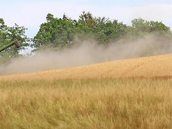 Staubwolken begleiteten die Arbeiten in den hei&szlig;en Juli-Wochen. Einerseits setzte die Hitzeperiode den Landwirten bei der Arbeit zus&auml;tzlich zu, vergr&ouml;&szlig;erte die Gefahr von Br&auml;nden beim Ernten. Andererseits drohten keine Unwetter, so dass Zeit f&uuml;r geplante Arbeit blieb, ohne das Getreide wegen drohender N&auml;sse regelrecht vom Feld "stehlen" zu m&uuml;ssen.