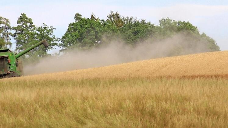Staubwolken begleiteten die Arbeiten in den hei&szlig;en Juli-Wochen. Einerseits setzte die Hitzeperiode den Landwirten bei der Arbeit zus&auml;tzlich zu, vergr&ouml;&szlig;erte die Gefahr von Br&auml;nden beim Ernten. Andererseits drohten keine Unwetter, so dass Zeit f&uuml;r geplante Arbeit blieb, ohne das Getreide wegen drohender N&auml;sse regelrecht vom Feld "stehlen" zu m&uuml;ssen.