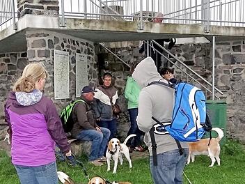 Viel Spaß hatten die Teilnehmer des Beagle-Treffs bei ihren Wanderungen in der Rhön.  Foto: Hans-Jürgen Neumann