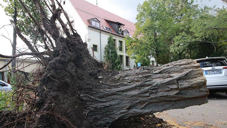 Das Sturmtief Fabienne wütete auch in Forchheim.  J. Hofbauer