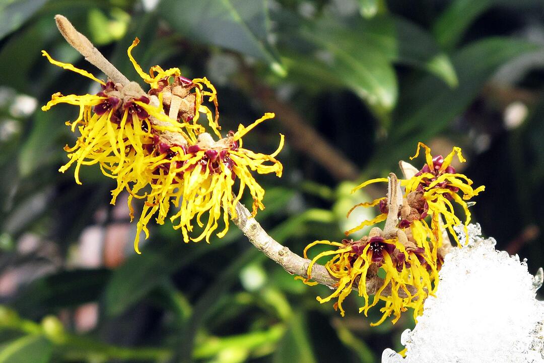 Fotos Konrad Thomann