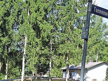 Idyllisch gelegen: das Wochenendhaus-Gebiet am Schalksberg in Maßbach. Foto: Isolde Krapf