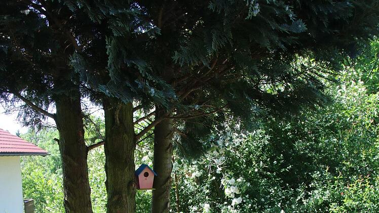 Blick in den Garten von Rainer und Rosi Gilke. Foto: Jürgen Gärtner