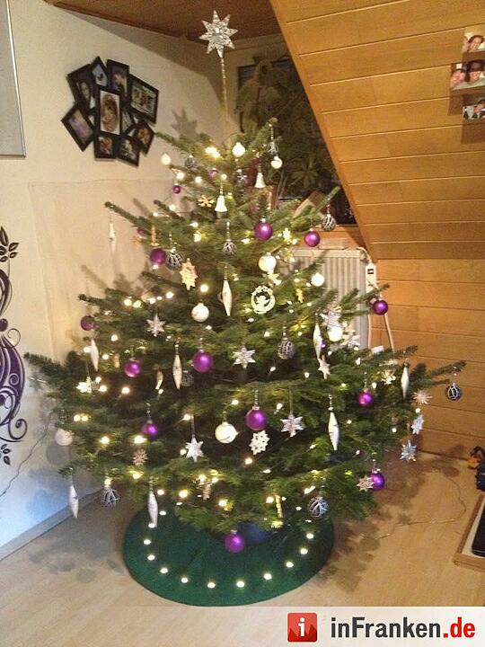 Weihnachten in Franken: Die Christbäume unserer Leser
