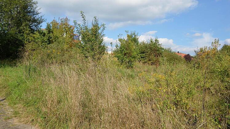 So schaut es derzeit noch im Gehaid aus. Foto: Rinklef/Archiv