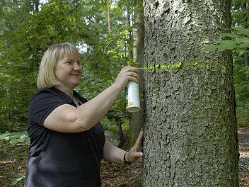 Carmen Hombach markiert die Bäume, die aus den Beständen enfernt werden müssen, damit sich der Wald gut entwickeln kann. Foto: Dagmar Besand
