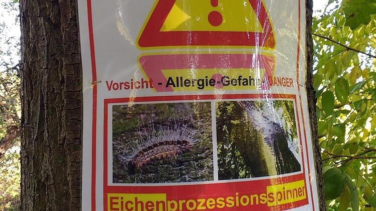 Mit solchen Schildern an den betroffenen Bäumen warnt  das Straßenbauamt  vor   dem Eichenprozessionsspinner.rm