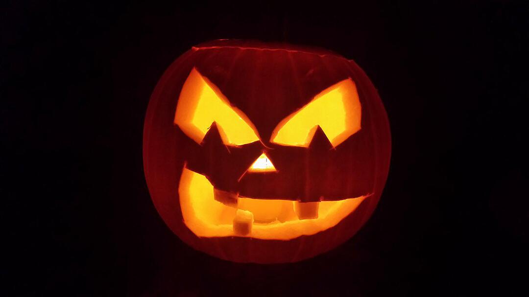 Leserbilder zu Halloween II