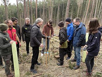 Insgesamt 50 Sch&uuml;lerinnen und Sch&uuml;ler der Maximilian-von-Welsch-Realschule beteiligten sich an einer Baumpflanzaktion des Landkreises und der Waldbesitzervereinigung Kronach-Frankenwald. Das Bild zeigt einen Sch&uuml;ler mit Landrat Klaus L&ouml;ffler beim ...