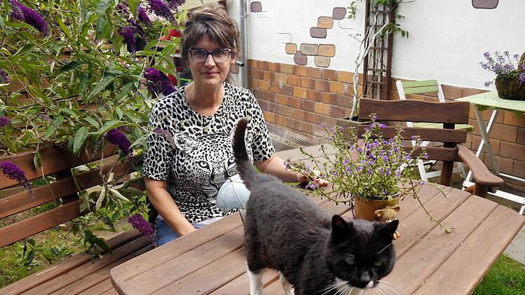 Manuela Jeschke hat das «Katzenparadies» privat gegründet.