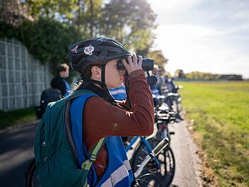 Young Birders Club