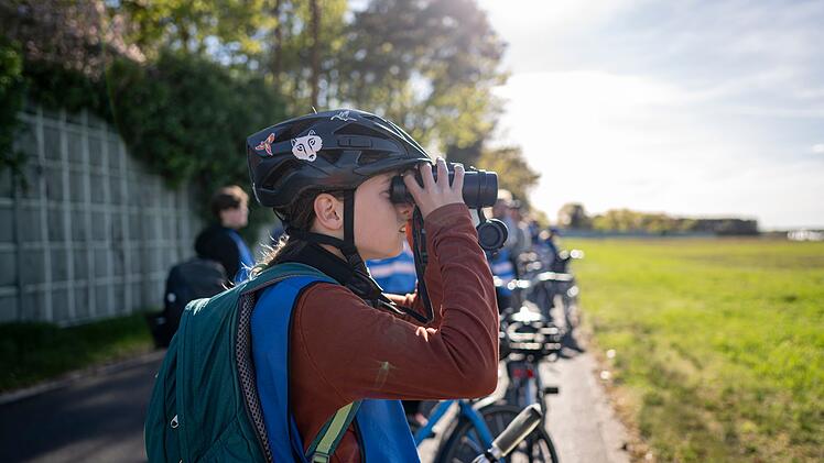 Young Birders Club
