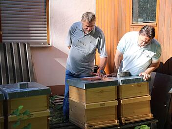 Kreisvorsitzender Erhard Bieber (links) und der Vorsitzende des Münnerstädter Imkervereins, Dieter Schölzke, schauen nach den Bienen am Münnerstädter Bienenhaus. Im Gegensatz zu manchen "wilden Bienenhaltern" kennen sie sich aus. Thomas Malz