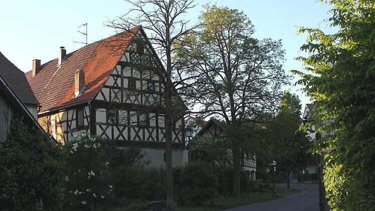 Eingegrünt der Ortsteil von Pettstadt, aber der dürre Baum vor der schönen Fachwerkfassade muss entfernt werden. Foto: Günther Geiling