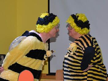 Willi und Biene Maja wissen, wie es im Eheleben der Bienen zugeht: Roland und Petra Bötsch traten beim Windheimer Kappenabend auf. Foto: Björn Hein