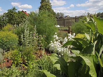 Im Kräutergarten bei der Langenstadter Kirche findet am Sonntag um 11 Uhr die offizielle Eröffnung des Tags der offenen Gartentür statt. Foto: Jürgen Gärtner