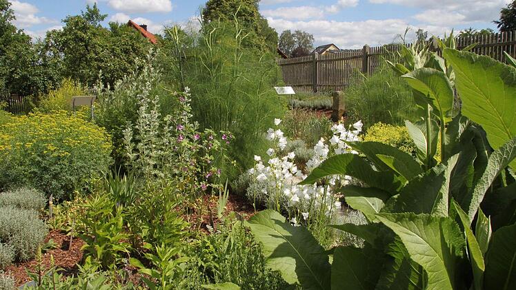 Im Kräutergarten bei der Langenstadter Kirche findet am Sonntag um 11 Uhr die offizielle Eröffnung des Tags der offenen Gartentür statt. Foto: Jürgen Gärtner
