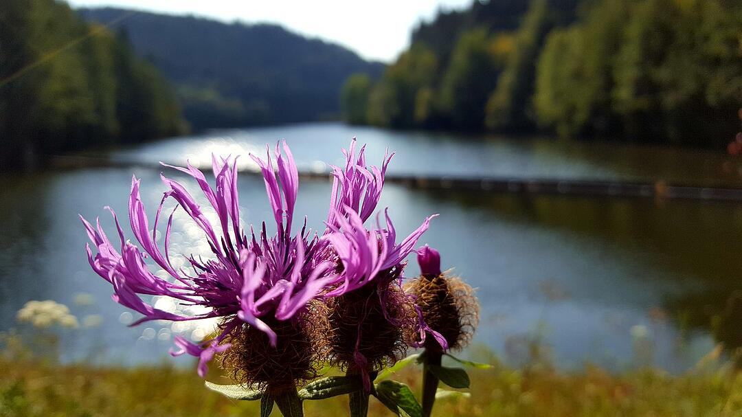 Die schönsten Fotos im September aus Kronach und Umgebung