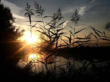 Herbststimmung an der Regnitz. Foto: inFrankenPix-Nutzerin elisabehvorstoffel
