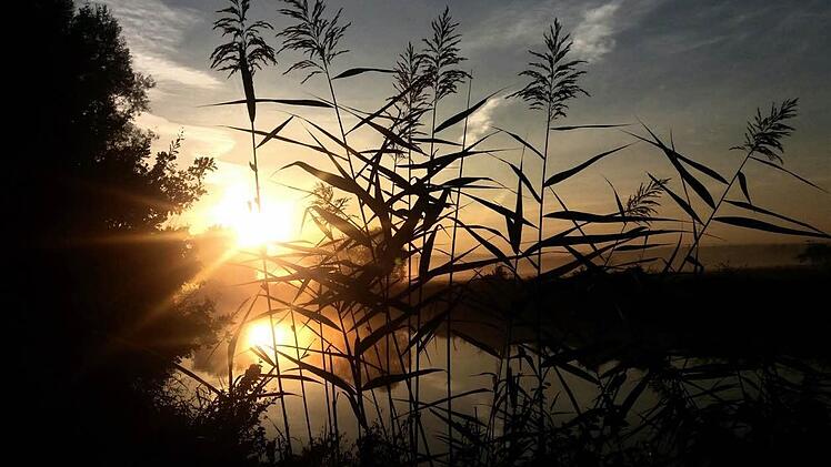 Herbststimmung an der Regnitz. Foto: inFrankenPix-Nutzerin elisabehvorstoffel