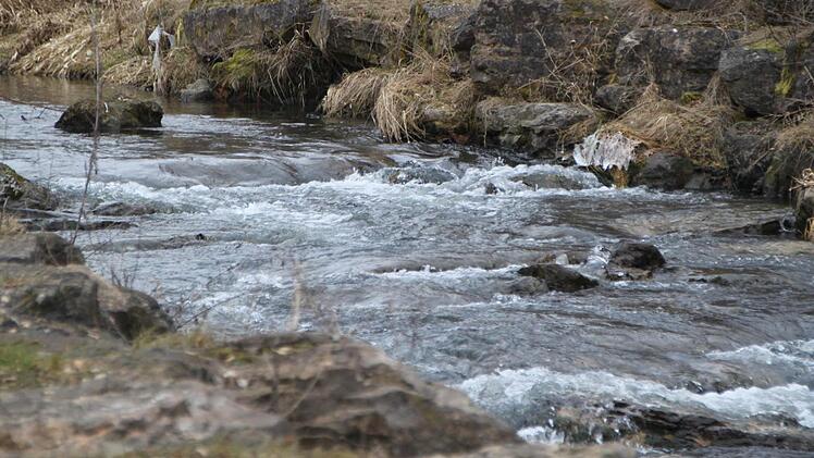 Die Sinn in Bad Brückenau: Gereinigtes Abwasser wurde hier schon eingeleitet. Deshalb darf der Wasserspielplatz am Siebener auch nicht mit Wasser aus dem Wildbach gespeist werden. Foto: Ulrike Müller
