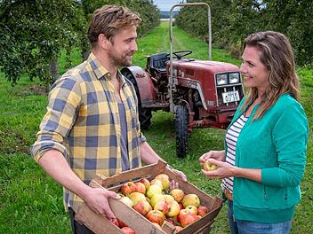 Passend zur Erntezeit im Alten Land soll Beke Rieper (Felicitas Woll) ein Porträt über den Elstar-Apfel schreiben. Dafür hilft sie ihrer alten Jugendliebe Paul Harms (Steve Windolf) als Pflückerin und stößt schon bald auf eine wirklich interessante Geschichte.