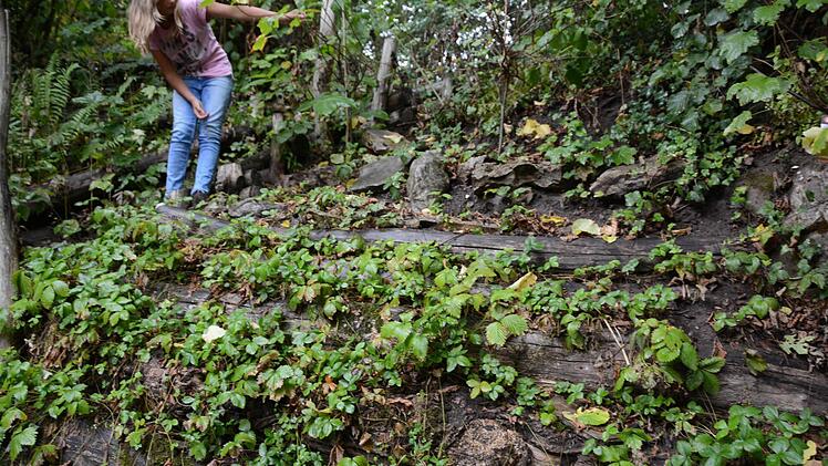 Die Erdbeertreppe im Garten ist schon abgeerntet. Foto: Dagmar Besand