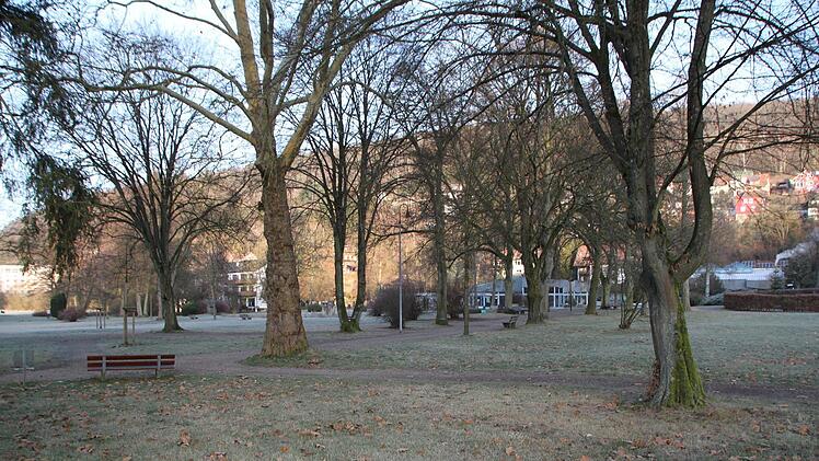 Die Baumreihe entlang des Weges in Richtung Georgi-Halle möchte die Architektin stehen lassen. Foto: Ulrike Müller