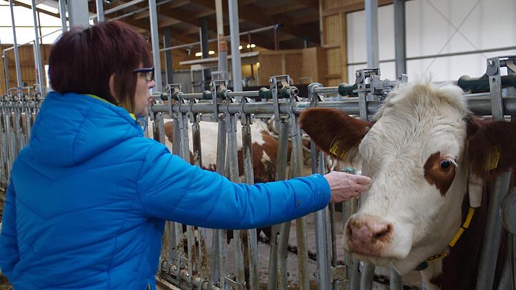 Die Tiere fühlen sich im Stall sichtlich wohl. Foto: Marco Meißner