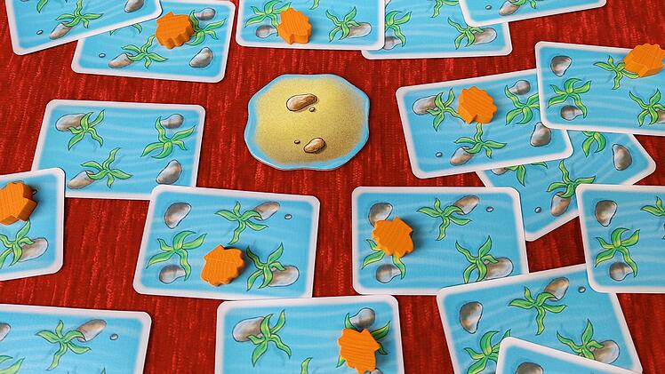 Hi Fisch! im Test - fränkisches Kartenspiel für kleine und große Meeresfischer