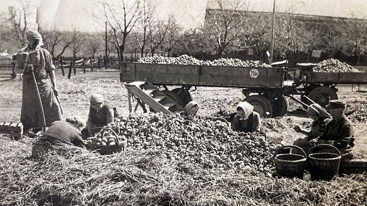 Kartoffelernte war lange harte Handarbeit.