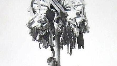 Mit letzter Kraft den Kletterbaum hinauf!