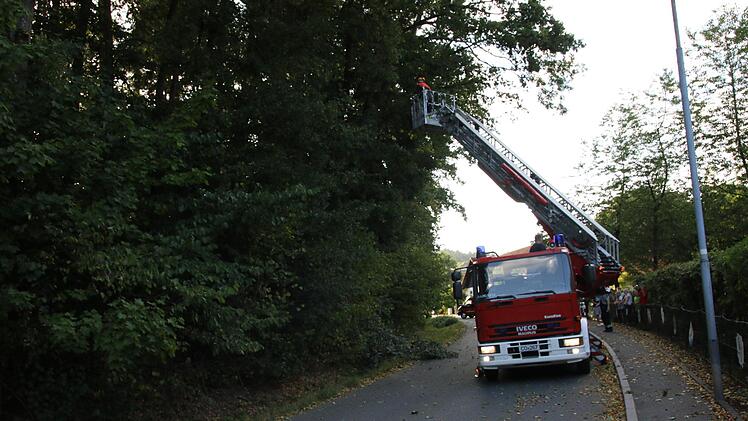 Die Feuerwehr holt beim "Schlupfwinkel" in Ahorn den abgebrochenen Ast aus der Baumkrone. Foto: Michael Stelzner