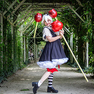Das Fantreffen der Anime-, Manga- und Japan-Kultur in Coburg!