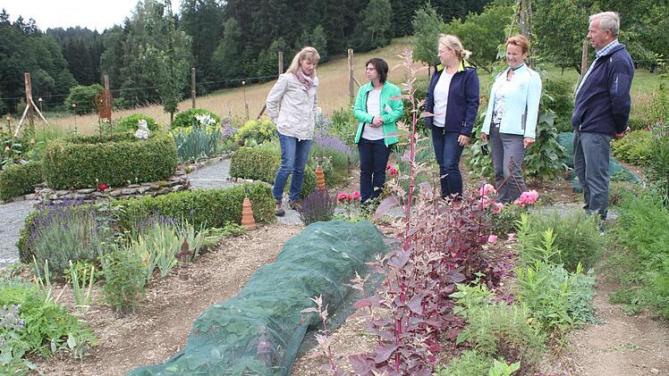 Nur sch&ouml;n ist Ulrike Lokies zu wenig. Die rote Gartenmelde sieht h&uuml;bsch aus, ist aber auch essbar -   wie Spinat.