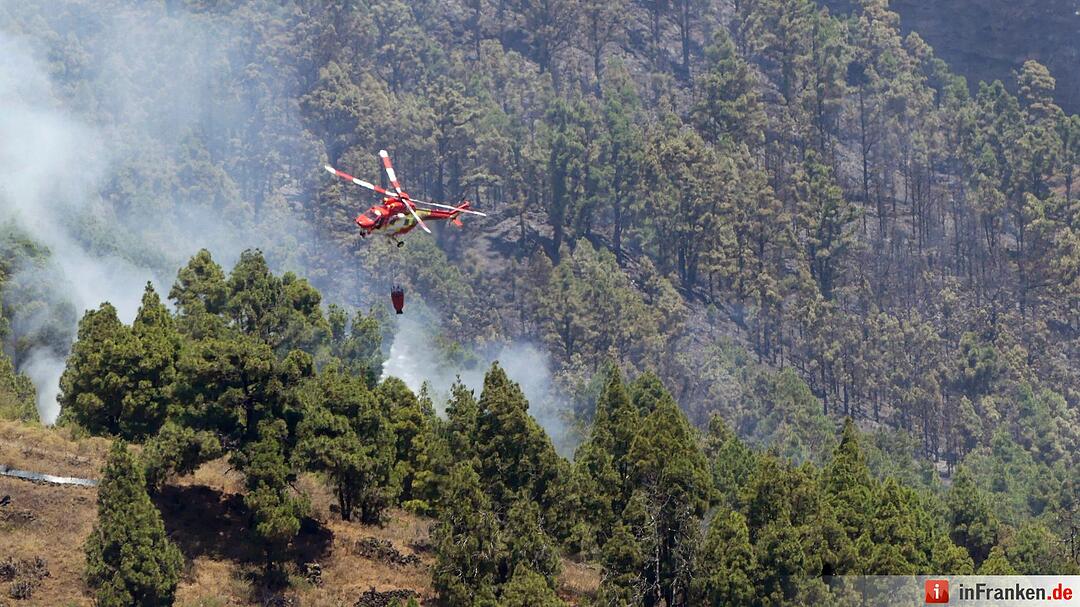 Waldbrand auf der Kanarischen Insel