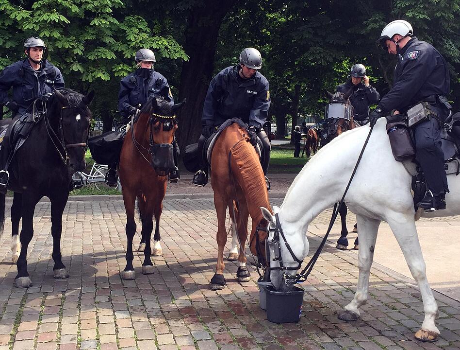 G20 in Hamburg: Proteste und Ausschreitungen