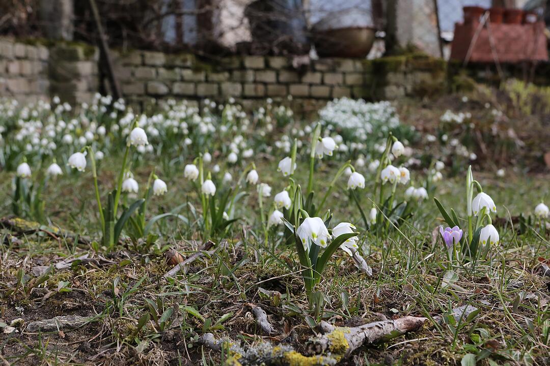 Frühling in Franken: Das Leben erwacht