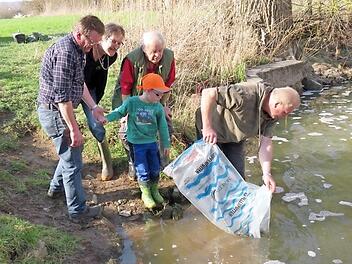 Die H&ouml;chstadter Fischer setzten 246 Barben ein. Foto: Elfriede Hagen