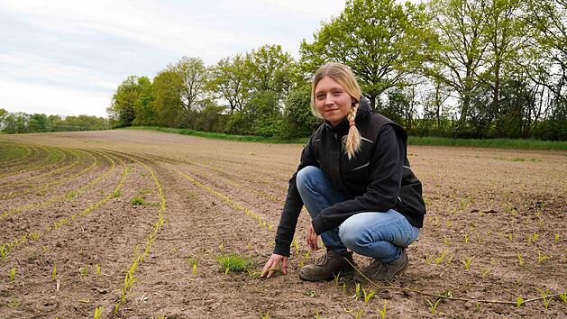 Landwirtin Melissa Gr&auml;f muss relativ selten auf den Maisacker fahren - im konventionellen Anbau reicht in der Regel eine Herbizidbehandlung gegen Unkraut.
