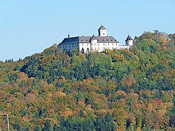 Am Schloß Greifenstein wurden Felsen freigelegt. Foto: Maschinenring