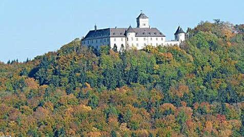 Am Schloß Greifenstein wurden Felsen freigelegt. Foto: Maschinenring