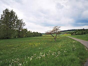 Mehr Auwald soll das Tal der Rauhen Ebrach prägen. Das Wasserwirtschaftsamt plant am Ortsausgang von Untersteinbach, im Bereich der Aumühle weitere 600 Meter des Gewässers ökologisch auszubauen. Der Gemeinderat Rauhenebrach ist einverstanden.