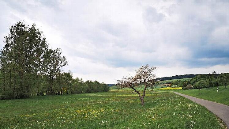 Mehr Auwald soll das Tal der Rauhen Ebrach prägen. Das Wasserwirtschaftsamt plant am Ortsausgang von Untersteinbach, im Bereich der Aumühle weitere 600 Meter des Gewässers ökologisch auszubauen. Der Gemeinderat Rauhenebrach ist einverstanden.