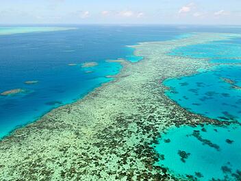 Great Barrier Reef in Australien